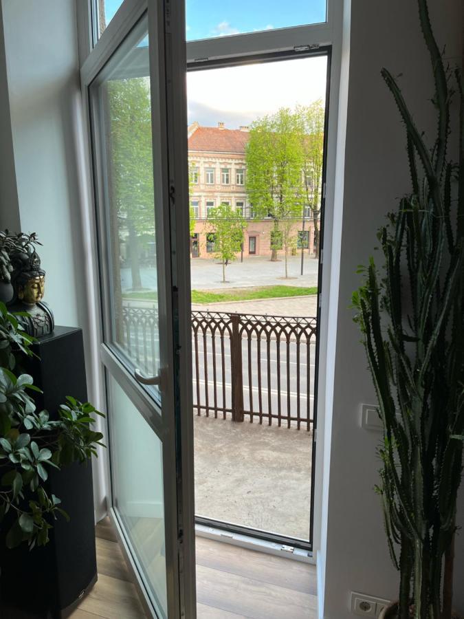 Happy Kaunas Luaran gambar